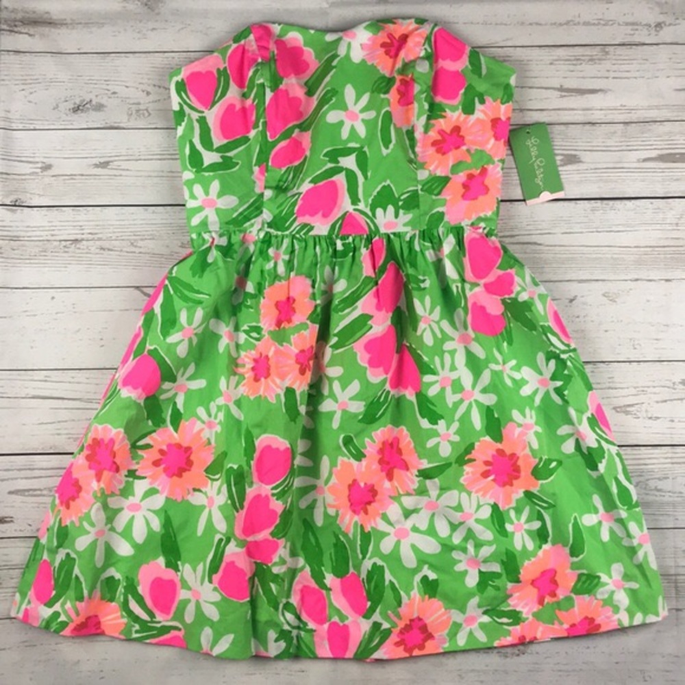 Lilly Pulitzer Peyton Dress — Everything Nice